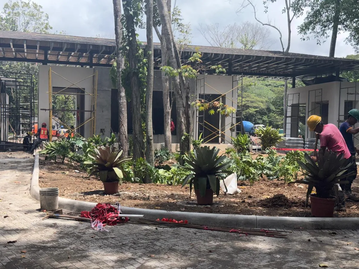 Landscaping · 36