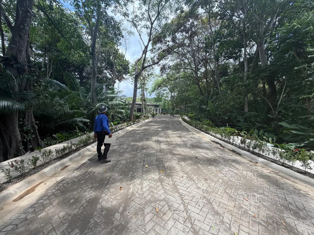 Entrance road and paving · 25