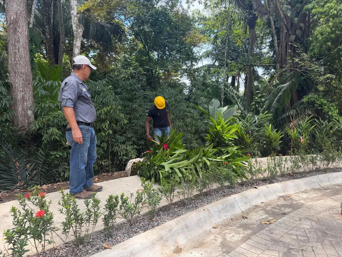 Landscaping · 35
