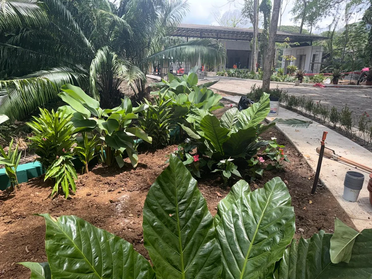 Landscaping · 37