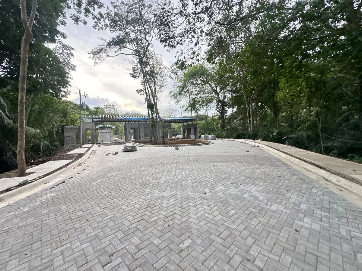 Entrance road and paving · 29