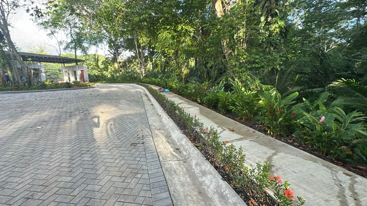 Entrance road and paving · 30